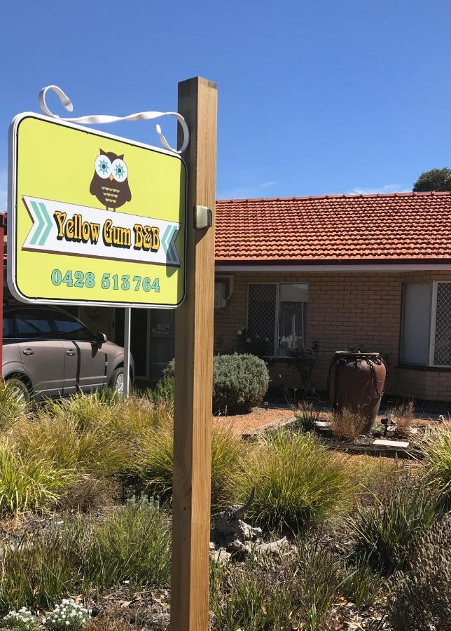 Yellow Gum Bed And Breakfast Katanning Kültér fotó